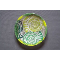 Green Ammonite Plateau – 32 cm