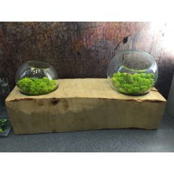 Double glass ball vase on a wood chunk