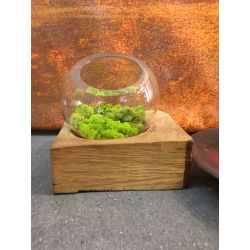 Glass ball vase on a wood chunk