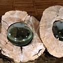 Glass in wood